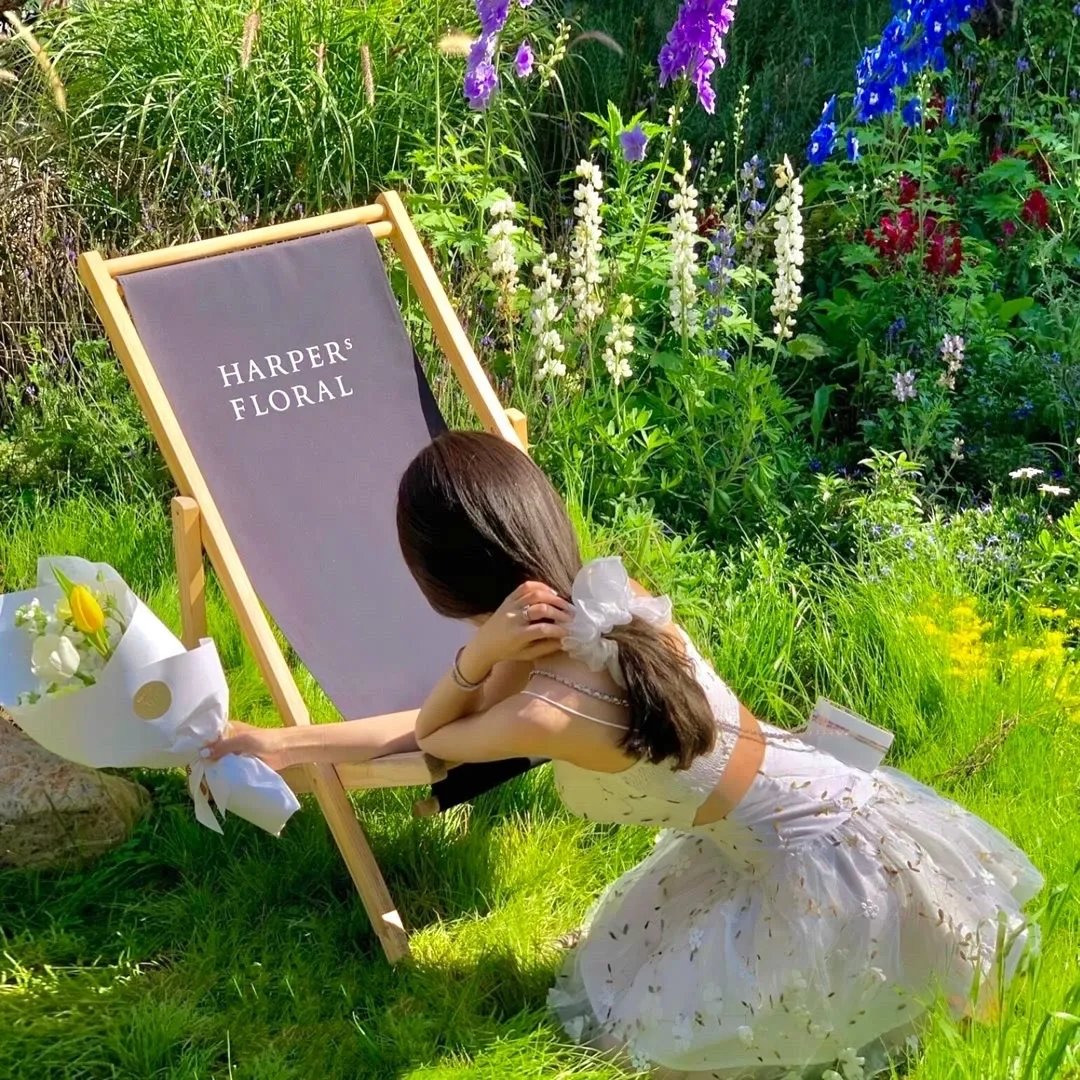 下堂嫡女权倾朝野后,皇子求娶